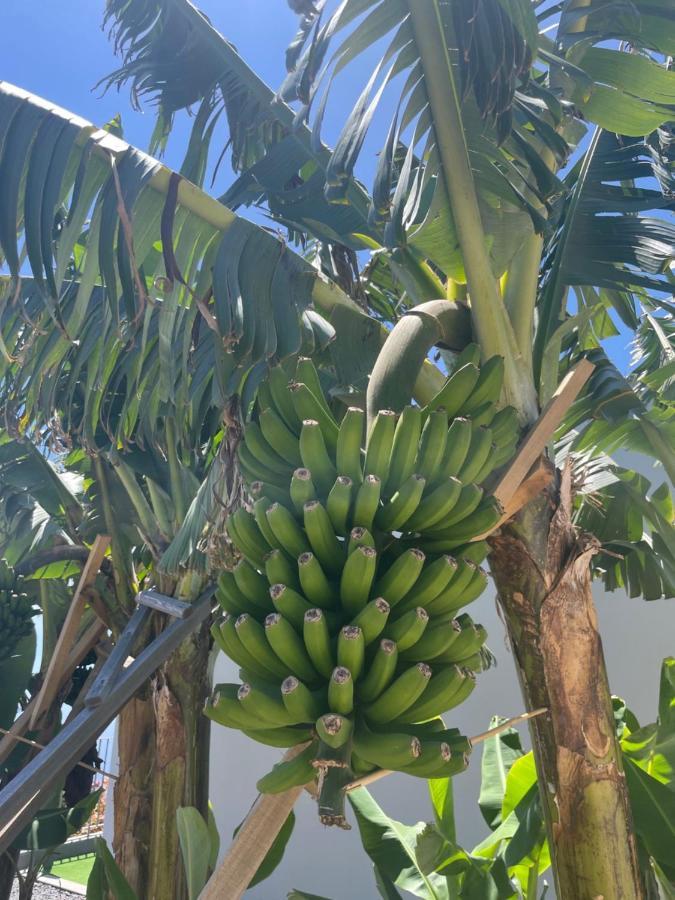 King'S Paradise Estreito Da Calheta Zewnętrze zdjęcie